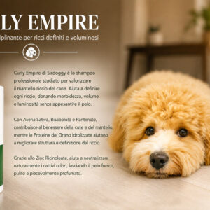 Curly Empire Shampoo