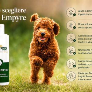 Curly Empire Shampoo