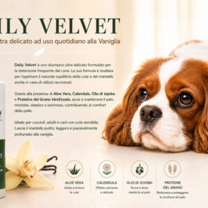 Daily Velvet Shampoo