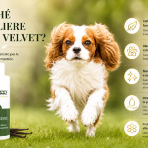 Daily Velvet Shampoo