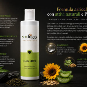 Dark Shine Shampoo