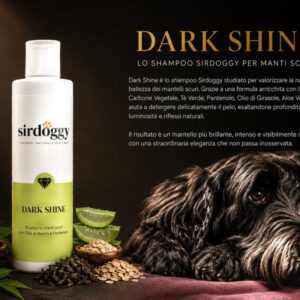 Dark Shine Shampoo
