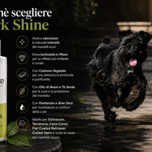 Dark Shine Shampoo