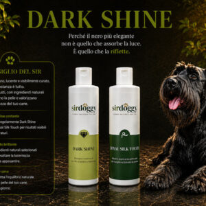 Dark Shine Shampoo
