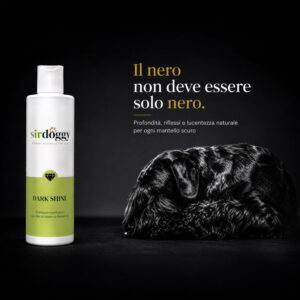 Dark Shine Shampoo