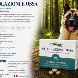 Articolazioni e ossa